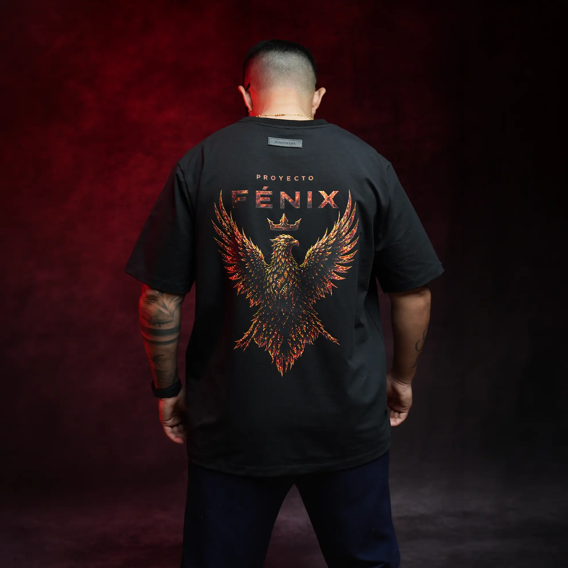PROYECTO FENIX FT ATMOSFERA - Image 3